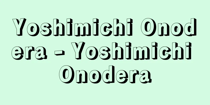 Yoshimichi Onodera - Yoshimichi Onodera