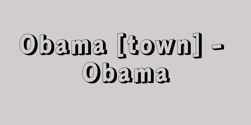 Obama [town] - Obama