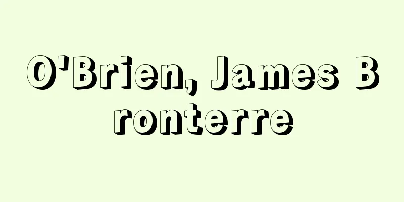 O'Brien, James Bronterre