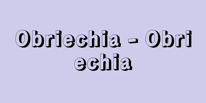 Obriechia - Obriechia