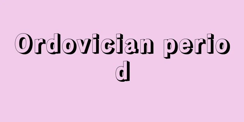 Ordovician period