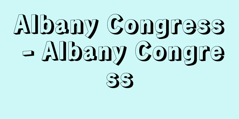 Albany Congress - Albany Congress