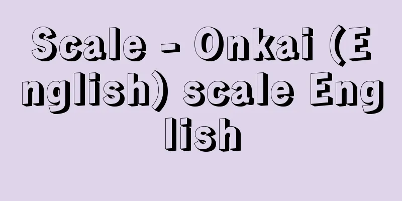 Scale - Onkai (English) scale English