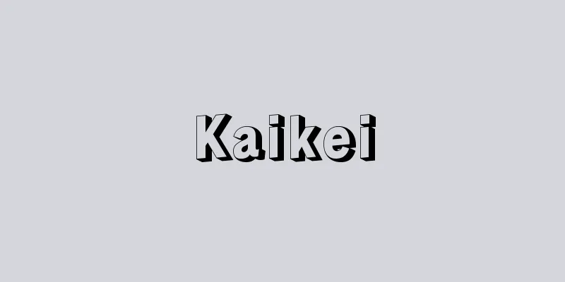 Kaikei