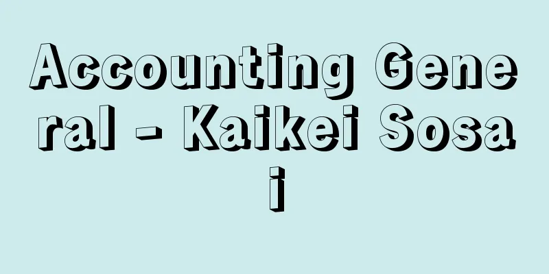 Accounting General - Kaikei Sosai