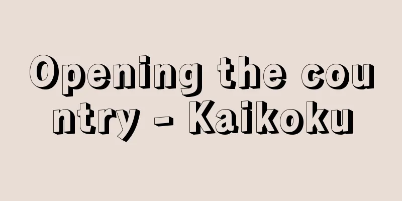 Opening the country - Kaikoku