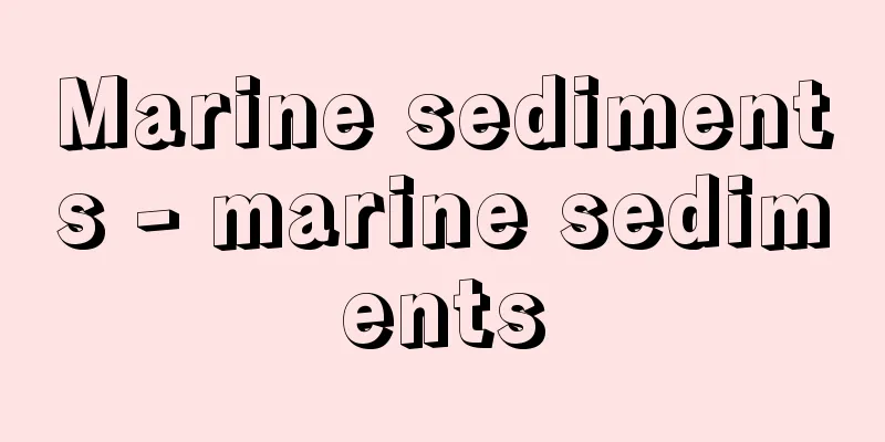 Marine sediments - marine sediments