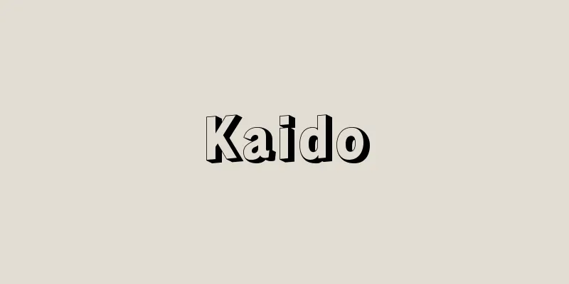 Kaido