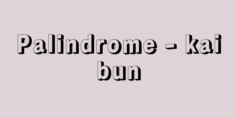 Palindrome - kaibun