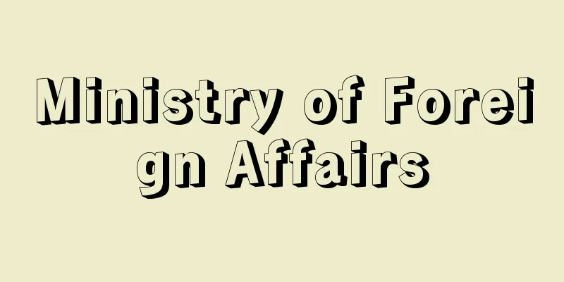 Ministry of Foreign Affairs