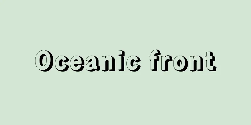 Oceanic front