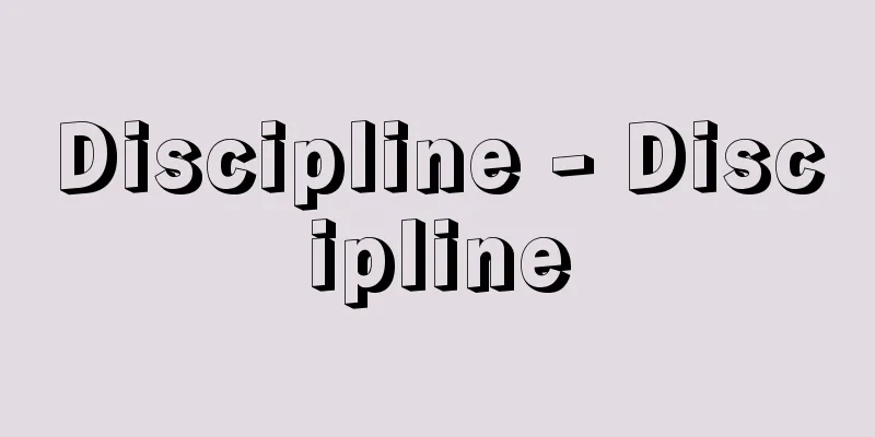 Discipline - Discipline