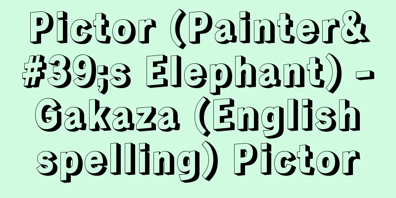 Pictor (Painter's Elephant) - Gakaza (English spelling) Pictor