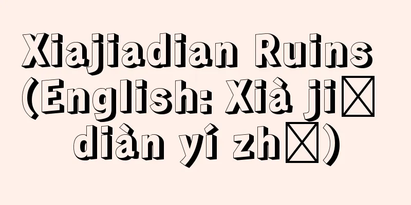 Xiajiadian Ruins (English: Xià jiā diàn yí zhǐ)