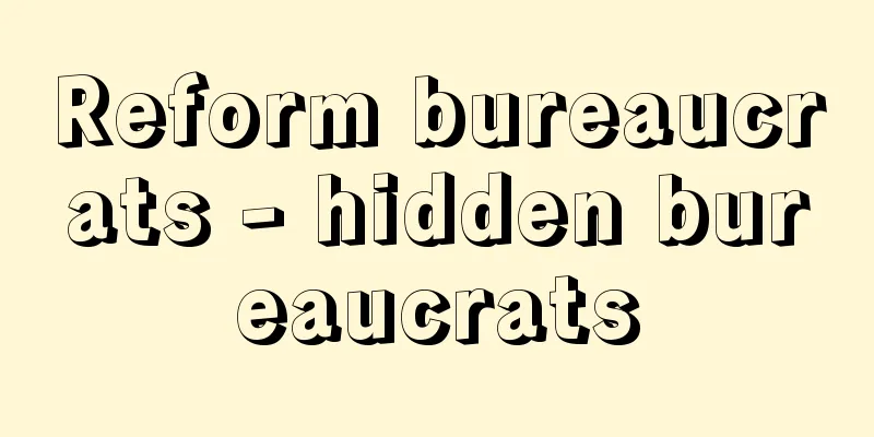 Reform bureaucrats - hidden bureaucrats