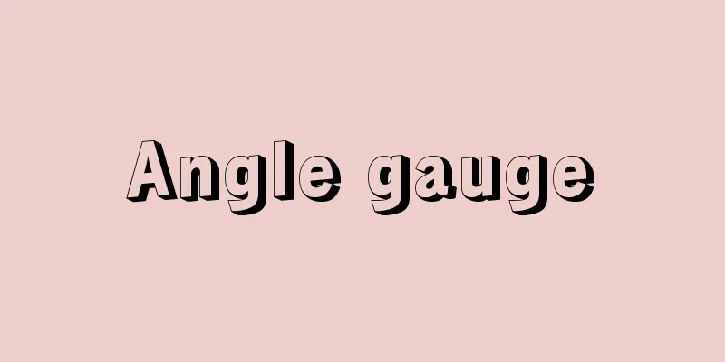 Angle gauge