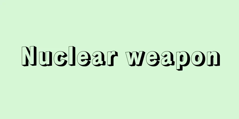 Nuclear weapon