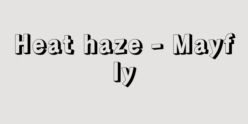 Heat haze - Mayfly