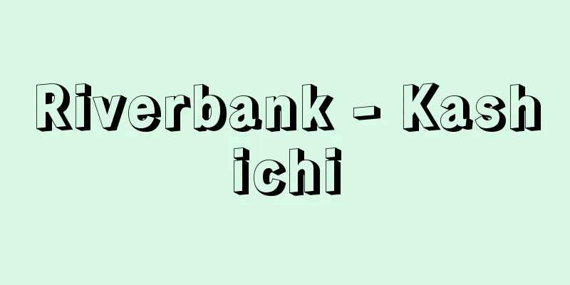Riverbank - Kashichi