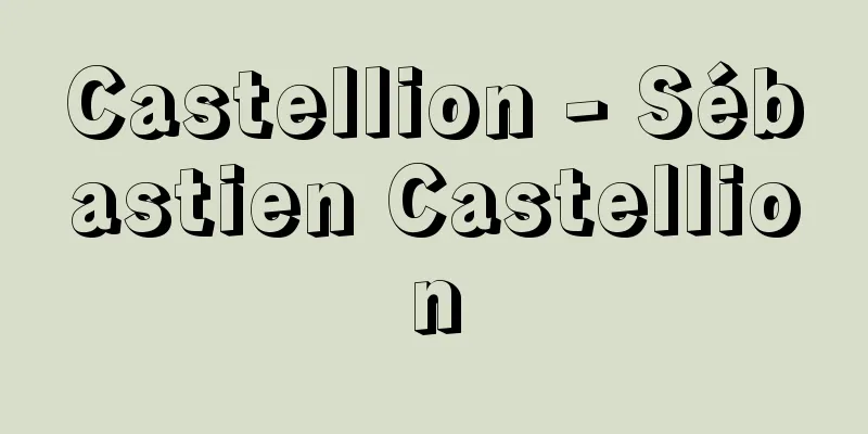 Castellion - Sébastien Castellion