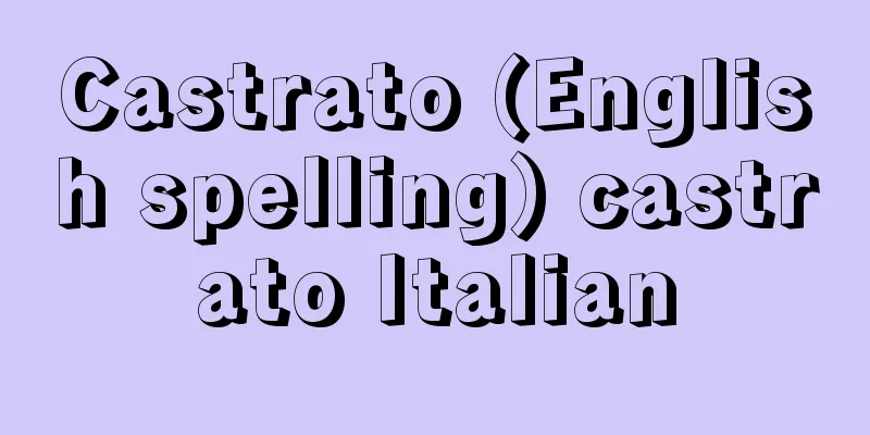 Castrato (English spelling) castrato Italian