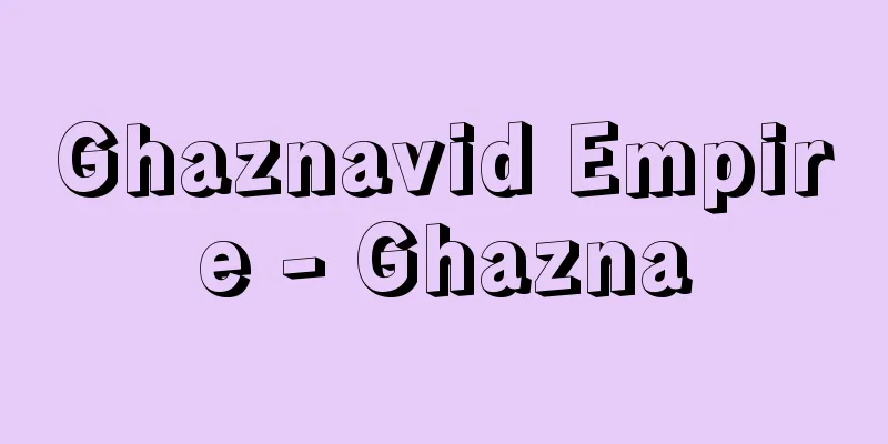 Ghaznavid Empire - Ghazna