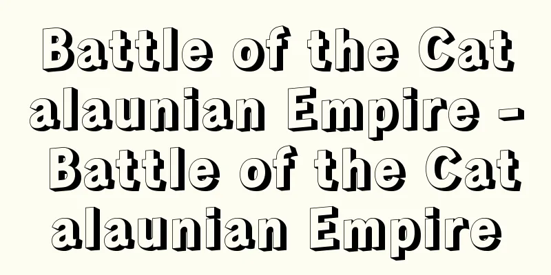 Battle of the Catalaunian Empire - Battle of the Catalaunian Empire