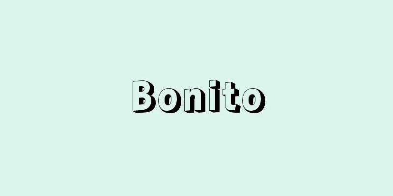 Bonito