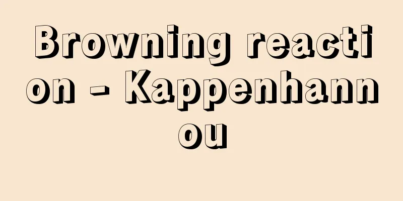Browning reaction - Kappenhannou