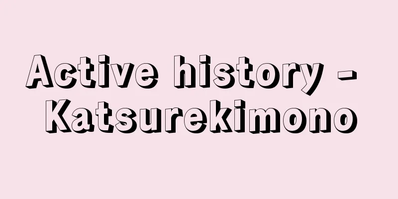 Active history - Katsurekimono