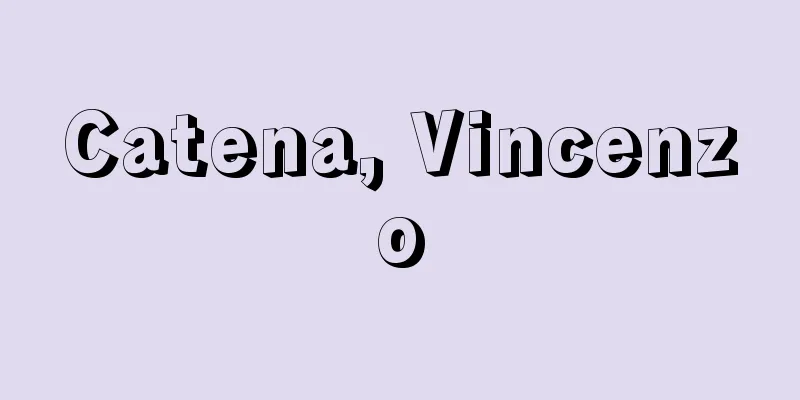 Catena, Vincenzo