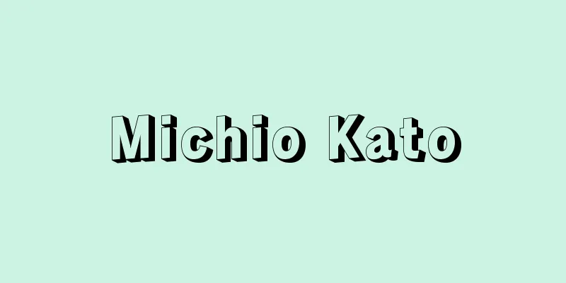 Michio Kato