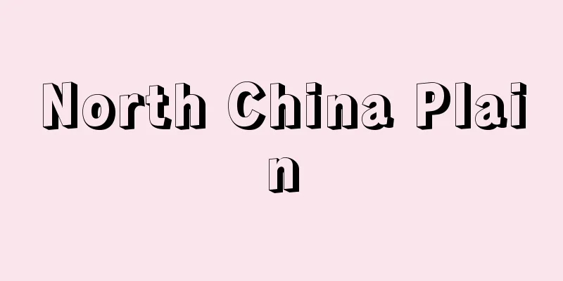 North China Plain