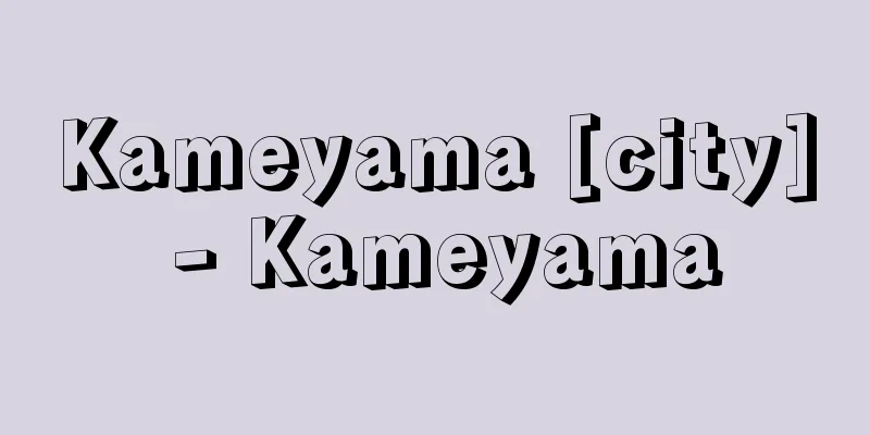 Kameyama [city] - Kameyama