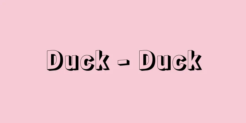 Duck - Duck