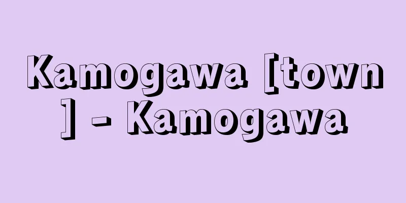 Kamogawa [town] - Kamogawa