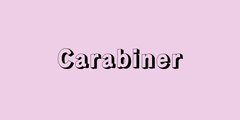 Carabiner