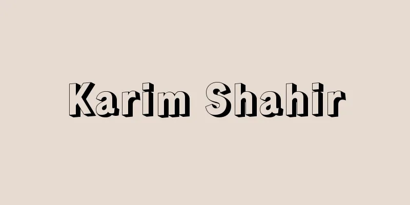 Karim Shahir