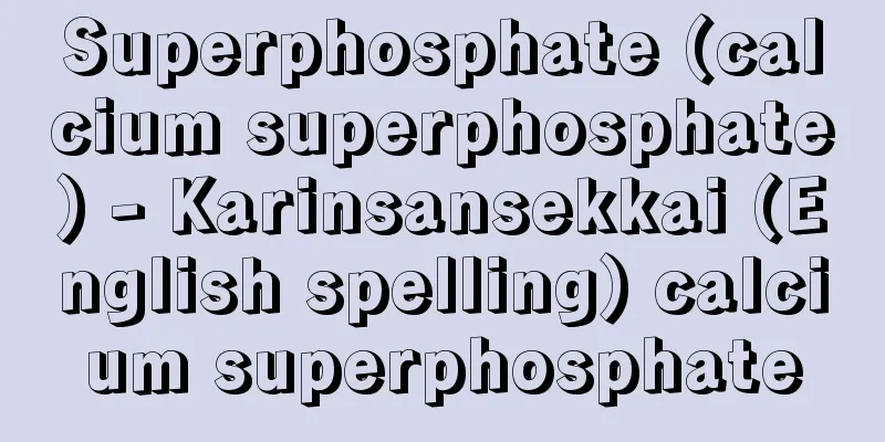 Superphosphate (calcium superphosphate) - Karinsansekkai (English spelling) calcium superphosphate