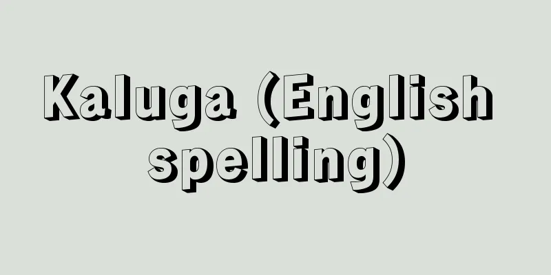 Kaluga (English spelling)