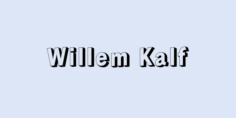 Willem Kalf