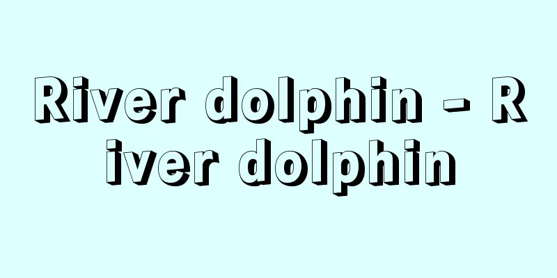 River dolphin - River dolphin