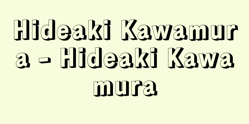 Hideaki Kawamura - Hideaki Kawamura
