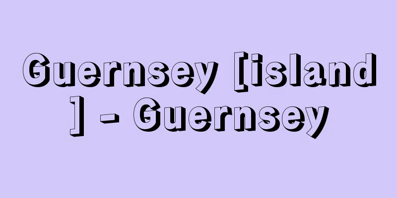 Guernsey [island] - Guernsey