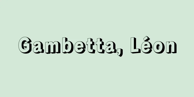 Gambetta, Léon
