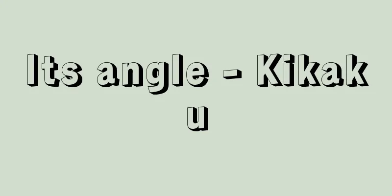 Its angle - Kikaku