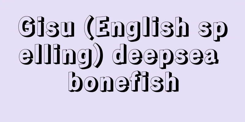 Gisu (English spelling) deepsea bonefish