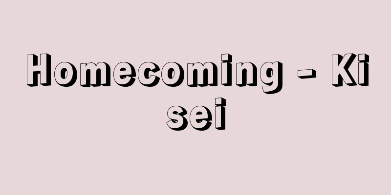 Homecoming - Kisei