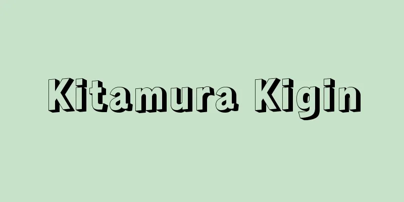 Kitamura Kigin