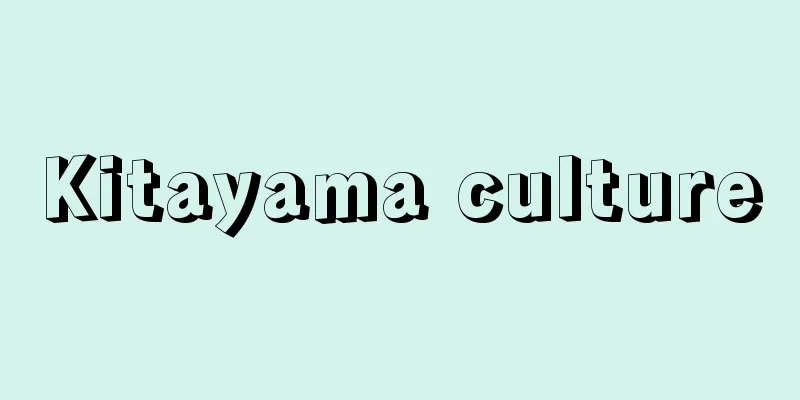 Kitayama culture